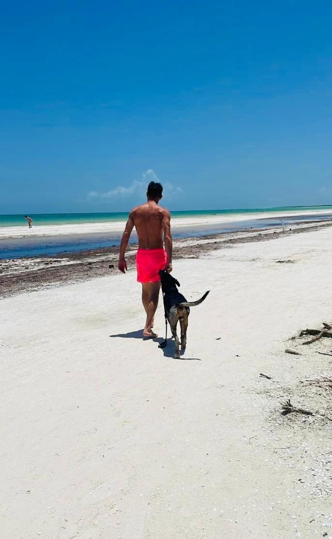 Pachamama Holbox - Hostel & Private Apartments Exteriör bild