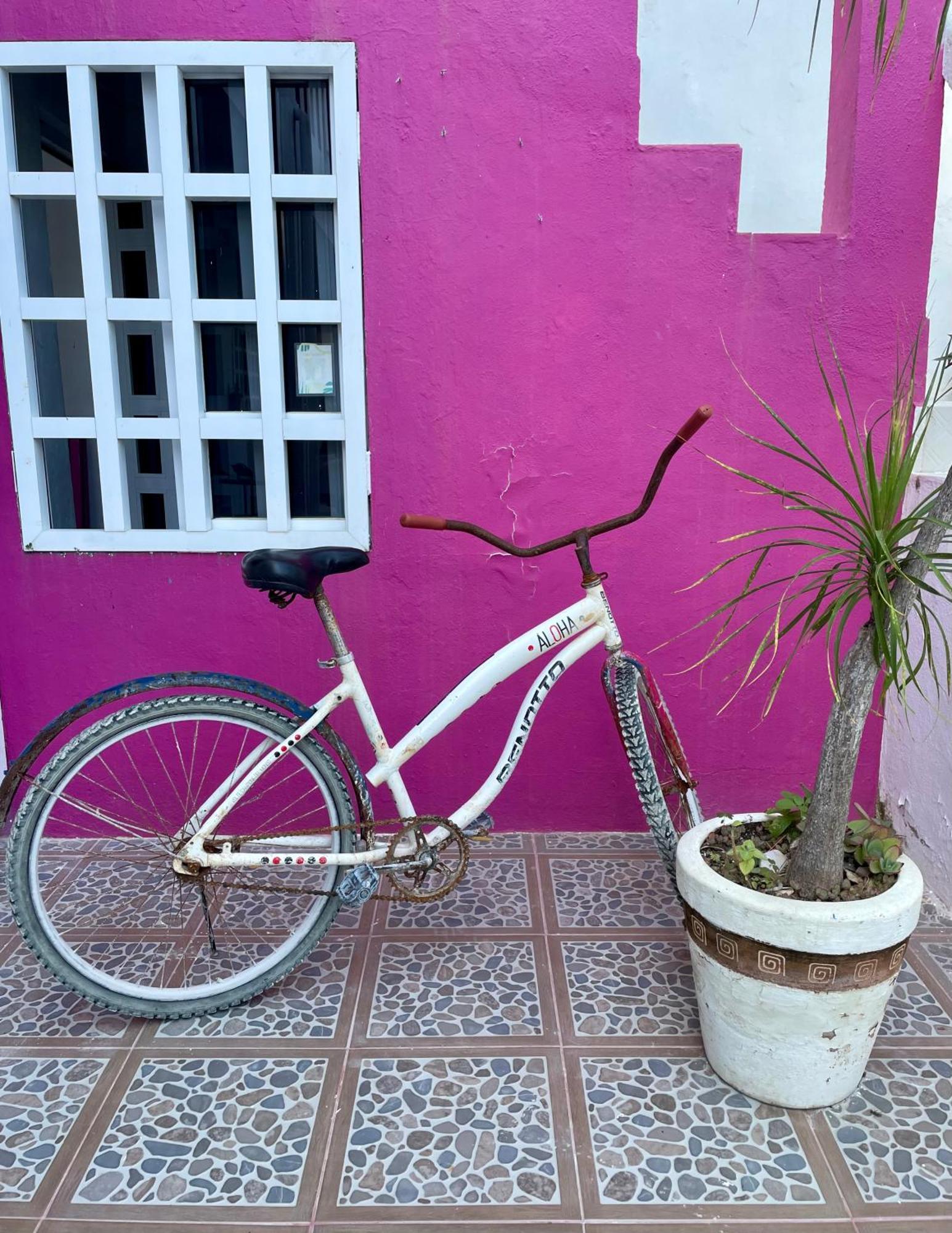 Pachamama Holbox - Hostel & Private Apartments Exteriör bild